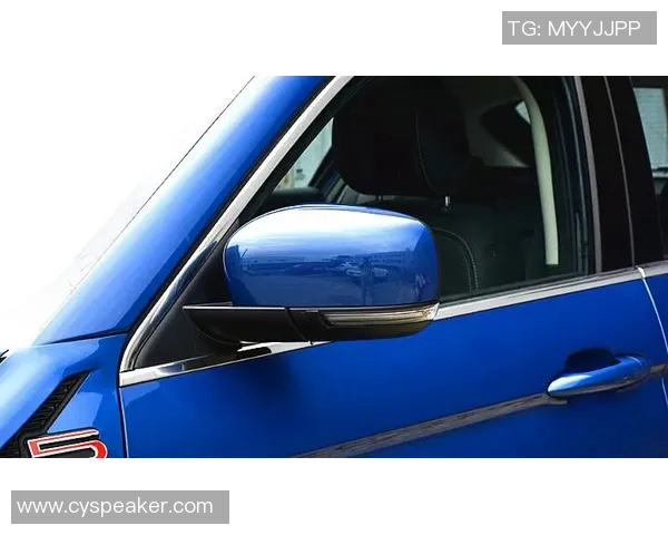 成都羽毛球队在洲际杯积分榜上以74分稳居第一名展现强劲实力