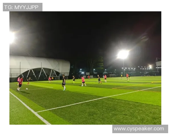 无悔爱上足球明星的青春岁月与梦想追逐之旅